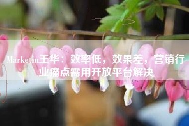 Marketin王华:效率低,效果差,营销行业痛点需用开放平台解决 Marketin王华:效率低,效果差,营销行业痛点需用开放平台解决