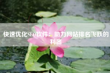 快速优化SEO软件：助力网站排名飞跃的利器