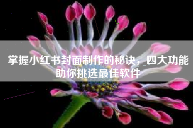 掌握小红书封面制作的秘诀，四大功能助你挑选最佳软件