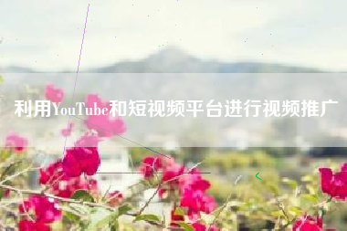 利用YouTube和短视频平台进行视频推广