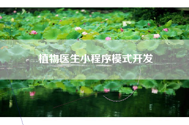 植物医生小程序模式开发