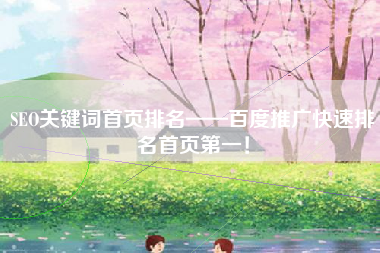 SEO关键词首页排名——百度推广快速排名首页第一！