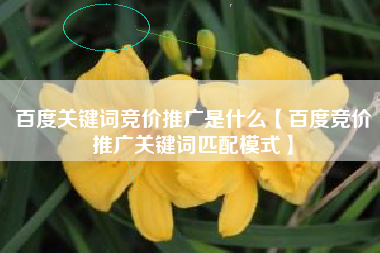 百度关键词竞价推广是什么【百度竞价推广关键词匹配模式】