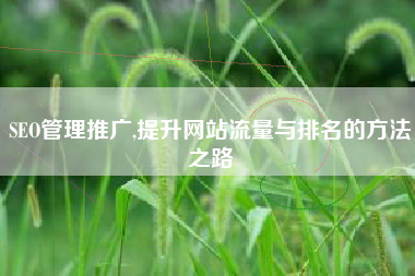 SEO管理推广,提升网站流量与排名的方法之路