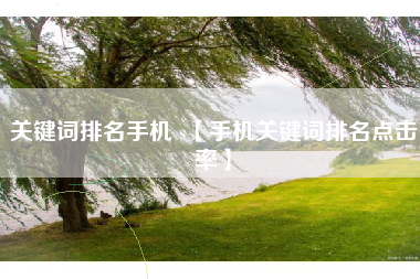 关键词排名手机 s【手机关键词排名点击率】