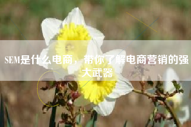 SEM是什么电商，带你了解电商营销的强大武器