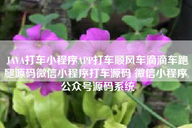JAVA打车小程序APP打车顺风车滴滴车跑腿源码微信小程序打车源码 微信小程序 公众号源码系统