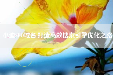 小迪SEO域名,打造高效搜索引擎优化之路