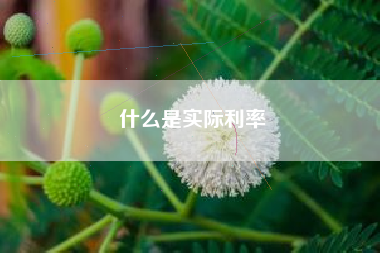 什么是实际利率