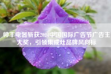帅丰电器斩获2024中国国际广告节广告主大奖，引领集成灶品牌风向标