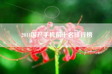 2014国产手机前十名排行榜