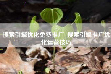 搜索引擎优化免费推广_搜索引擎推广优化运营技巧