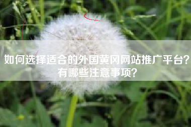 如何选择适合的外国黄冈网站推广平台？有哪些注意事项？