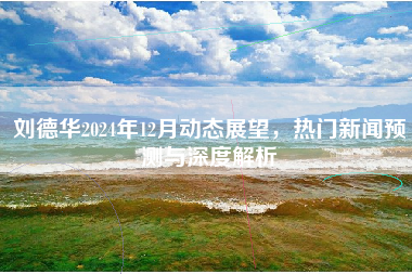 刘德华2024年12月动态展望，热门新闻预测与深度解析