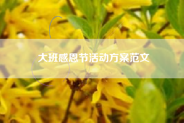 大班感恩节活动方案范文