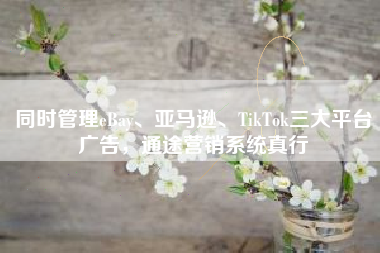 同时管理eBay、亚马逊、TikTok三大平台广告，通途营销系统真行