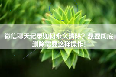 微信聊天记录如何永久清除？想要彻底删除需要这样操作！