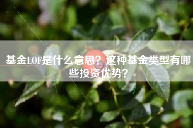 基金LOF是什么意思？这种基金类型有哪些投资优势？