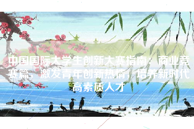 中国国际大学生创新大赛指南：商业竞赛篇，激发青年创新热情，培养新时代高素质人才