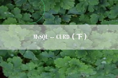 MySQL -- CURD（下）