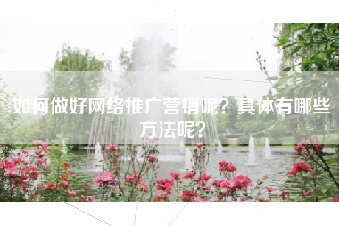 如何做好网络推广营销呢？具体有哪些方法呢？