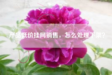 产品低价挂网销售，怎么处理下架？