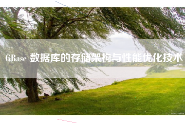 GBase 数据库的存储架构与性能优化技术