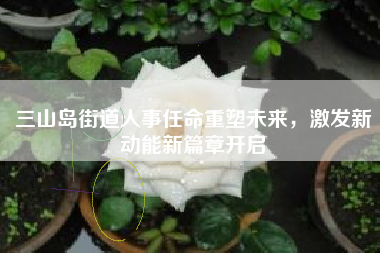 三山岛街道人事任命重塑未来，激发新动能新篇章开启