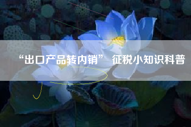 “出口产品转内销” 征税小知识科普