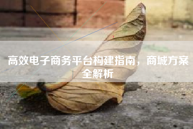 高效电子商务平台构建指南，商城方案全解析