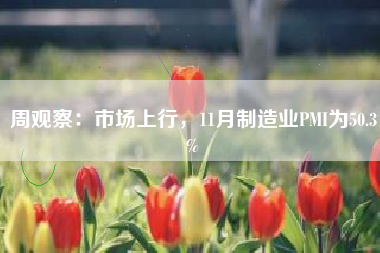 周观察：市场上行，11月制造业PMI为50.3%