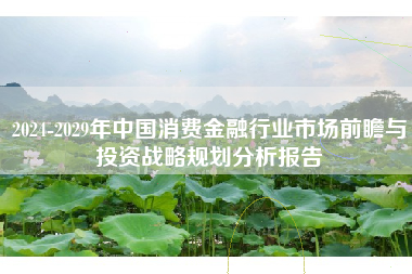 2024-2029年中国消费金融行业市场前瞻与投资战略规划分析报告