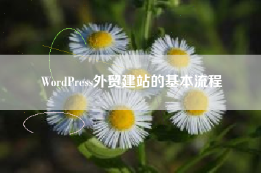 WordPress外贸建站的基本流程