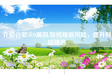介绍谷歌SEO漏洞,如何规避风险，提升网站排名