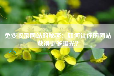 免费收录网站的秘密：如何让你的网站获得更多曝光？