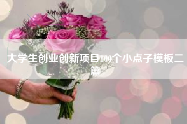 大学生创业创新项目100个小点子模板二篇