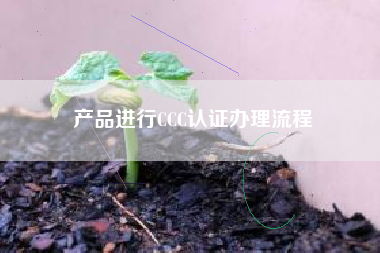 产品进行CCC认证办理流程