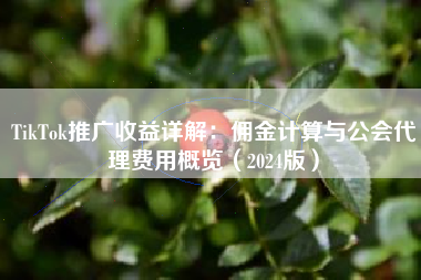 TikTok推广收益详解：佣金计算与公会代理费用概览（2024版）