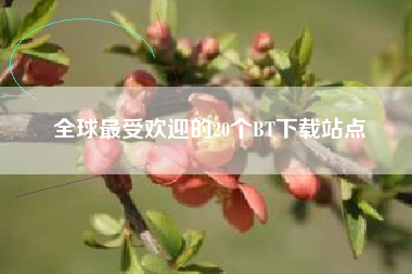 全球最受欢迎的20个BT下载站点
