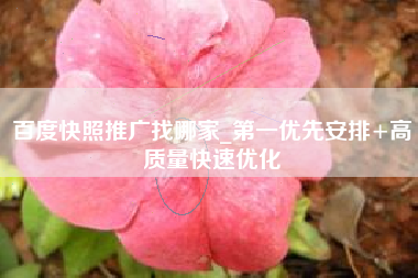百度快照推广找哪家_第一优先安排+高质量快速优化