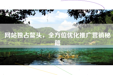 网站独占鳌头，全方位优化推广营销秘籍