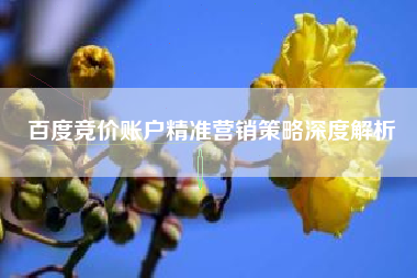 百度竞价账户精准营销策略深度解析