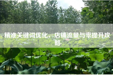 精准关键词优化，店铺流量与率提升攻略