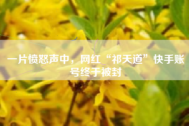一片愤怒声中，网红“祁天道”快手账号终于被封