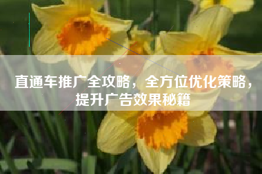 直通车推广全攻略，全方位优化策略，提升广告效果秘籍