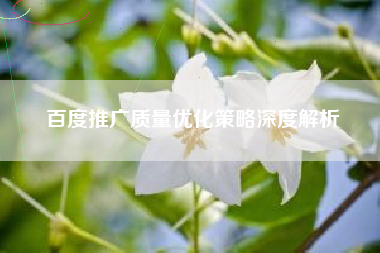 百度推广质量优化策略深度解析