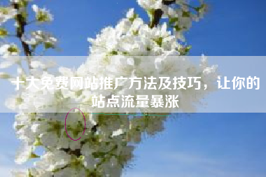 十大免费网站推广方法及技巧，让你的站点流量暴涨