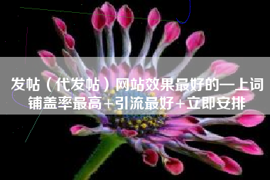 发帖（代发帖）网站效果最好的—上词铺盖率最高+引流最好+立即安排