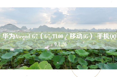 华为Ascend G7(G7-TL00/移动4G) 手机QQ 9.1.20 华为Ascend G7(G7-TL00/移动4G) 手机QQ 9.1.20