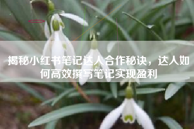 揭秘小红书笔记达人合作秘诀，达人如何高效撰写笔记实现盈利
